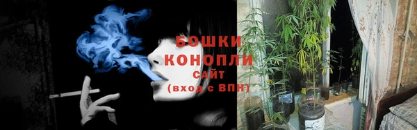 PSILOCYBIN Алексин