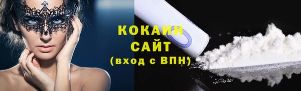 гидра Арсеньев