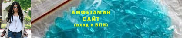 гидра Арсеньев