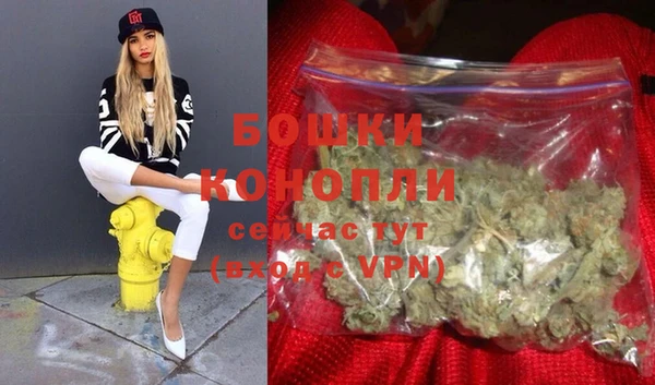 бошки Аркадак