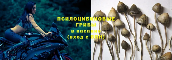 гидра Арсеньев