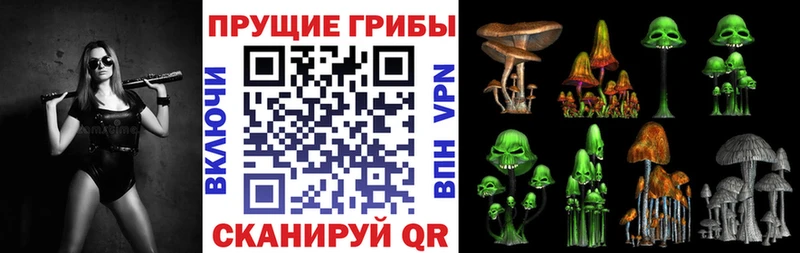 продажа наркотиков  Баймак  Псилоцибиновые грибы мицелий 
